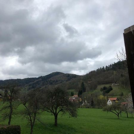 Petit Week End Dans La Vallee Breitenbach-Haut-Rhin Exterior foto