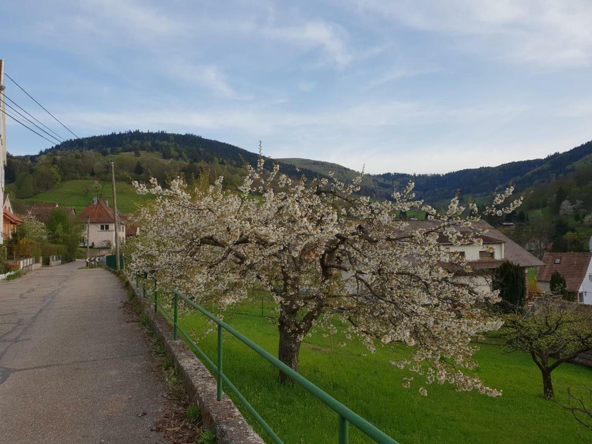 Petit Week End Dans La Vallee Breitenbach-Haut-Rhin Exterior foto