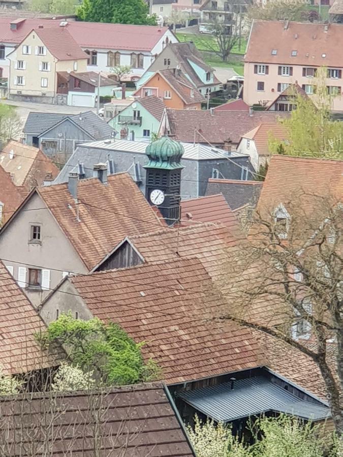 Petit Week End Dans La Vallee Breitenbach-Haut-Rhin Exterior foto
