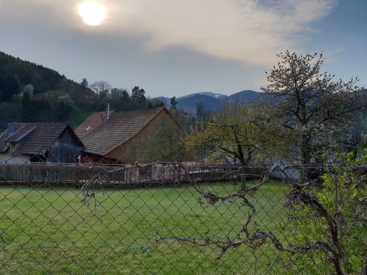 Petit Week End Dans La Vallee Breitenbach-Haut-Rhin Exterior foto
