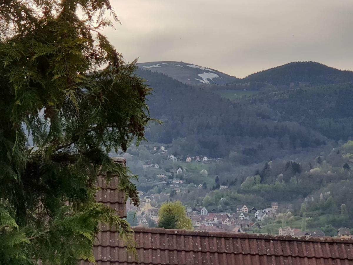 Petit Week End Dans La Vallee Breitenbach-Haut-Rhin Exterior foto