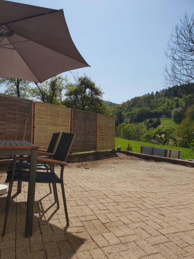 Petit Week End Dans La Vallee Breitenbach-Haut-Rhin Exterior foto