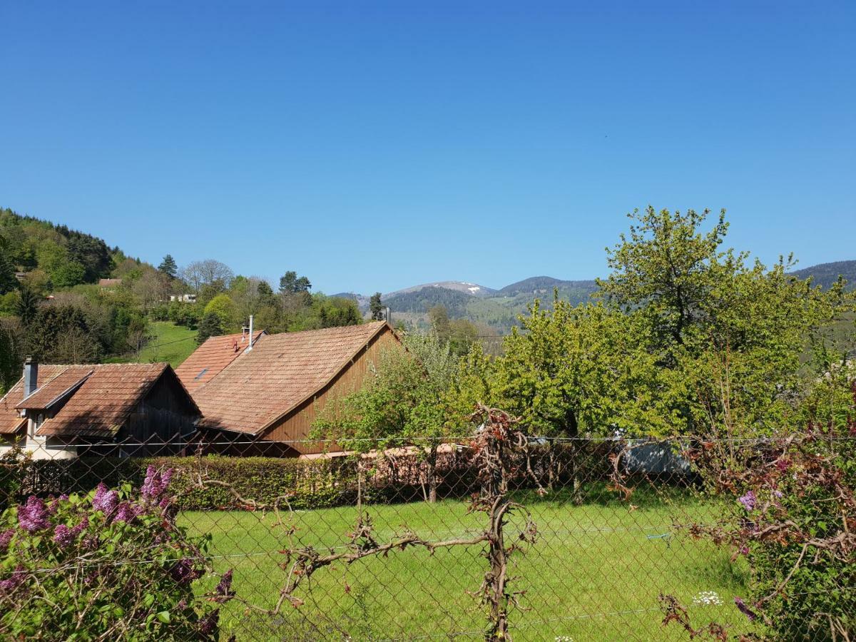 Petit Week End Dans La Vallee Breitenbach-Haut-Rhin Exterior foto