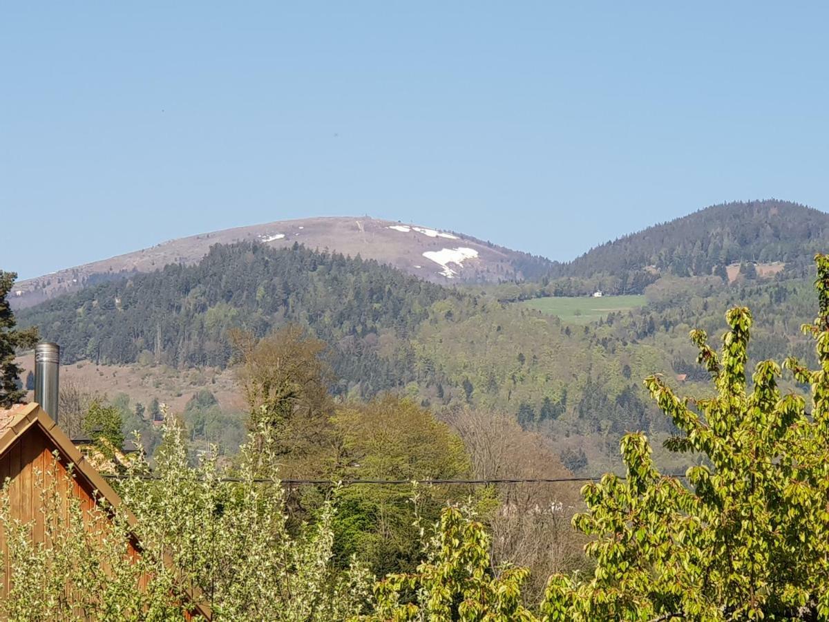 Petit Week End Dans La Vallee Breitenbach-Haut-Rhin Exterior foto