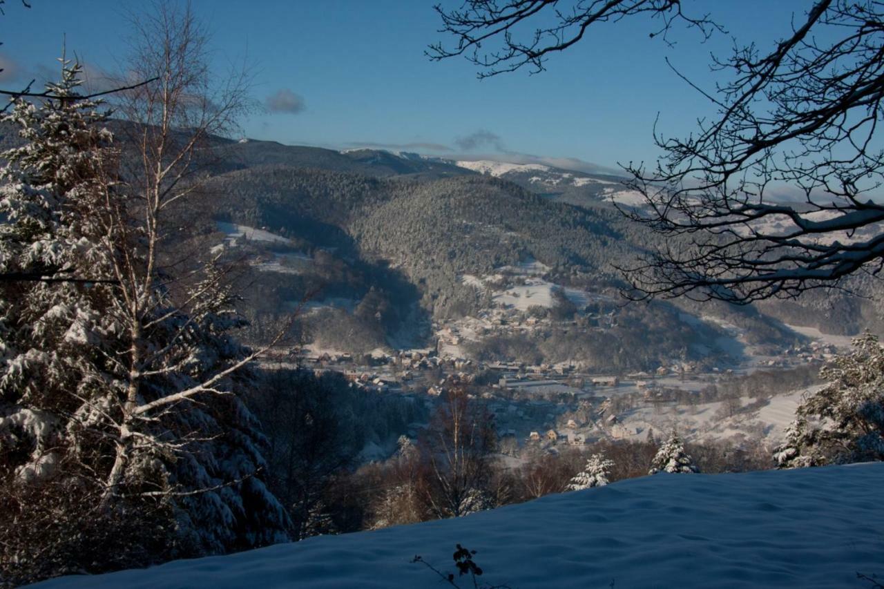 Petit Week End Dans La Vallee Breitenbach-Haut-Rhin Exterior foto