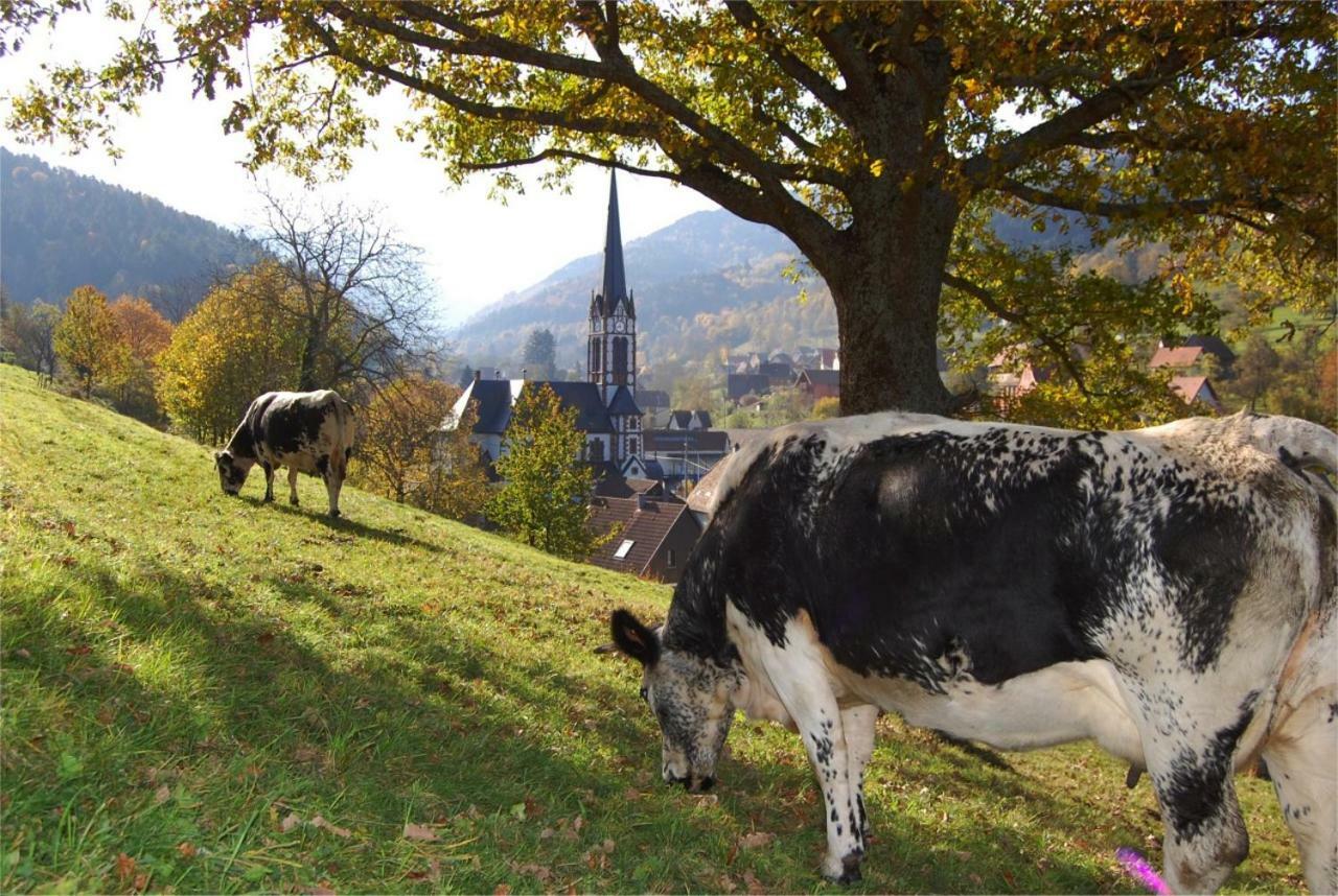 Petit Week End Dans La Vallee Breitenbach-Haut-Rhin Exterior foto
