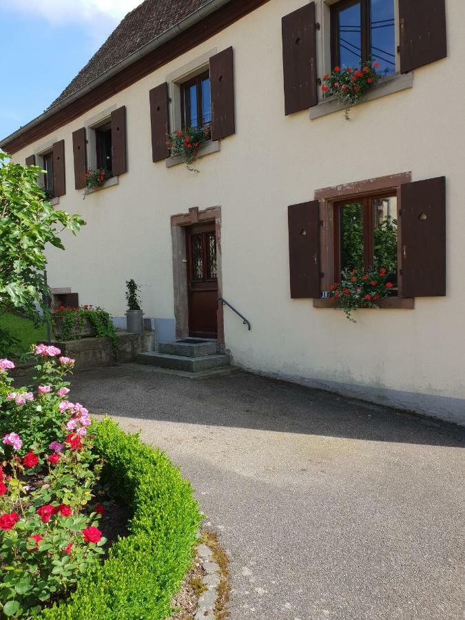 Petit Week End Dans La Vallee Breitenbach-Haut-Rhin Exterior foto