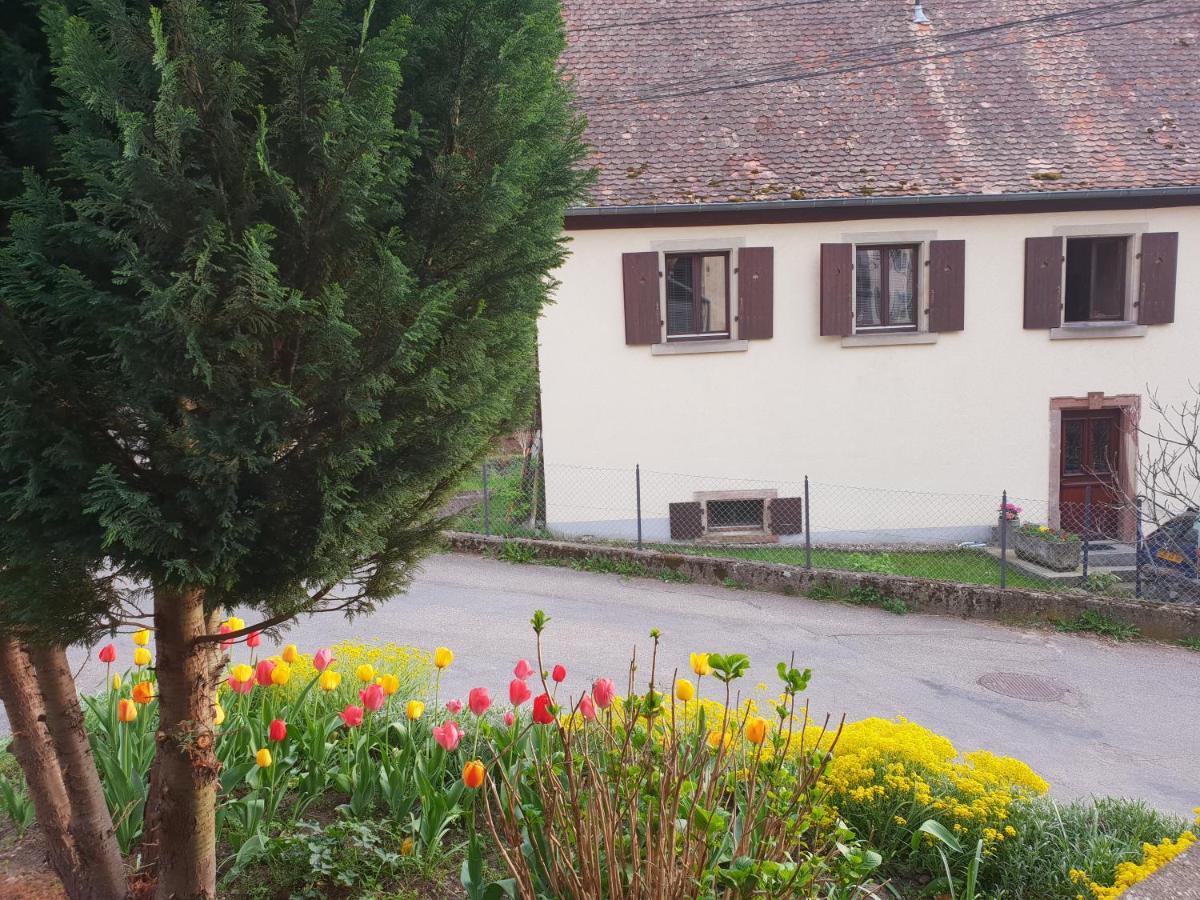 Petit Week End Dans La Vallee Breitenbach-Haut-Rhin Exterior foto